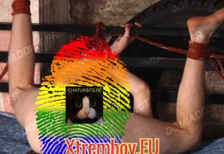 Relaxation et massage gay BDSM avec masseur ligoteur (140 visites) Merci pour tous les bons e-mails que j'ai reçus. Mes fidèles esclaves m'ont convaincu de revenir. ... Relaxation et massage gay BDSM avec masseur ligoteur